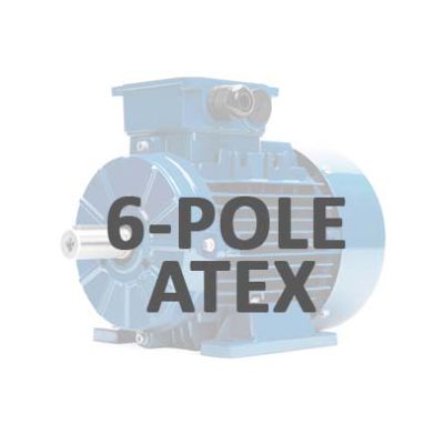 IE3 6 polig 1000 tpm ATEX